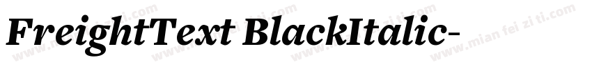 FreightText BlackItalic字体转换